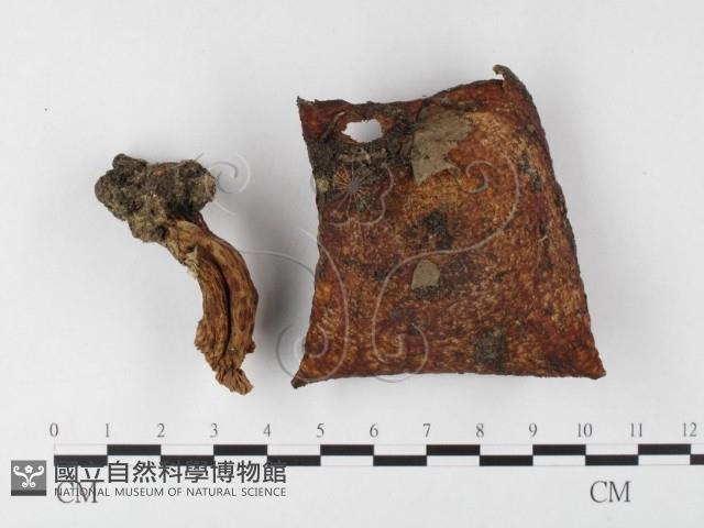 登錄號:F0026113藏品圖，第3張