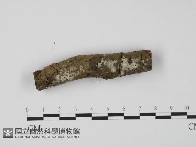 登錄號:F0004113藏品圖，第3張