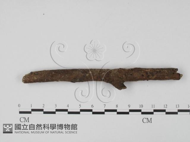 登錄號:F0002113藏品圖，第3張