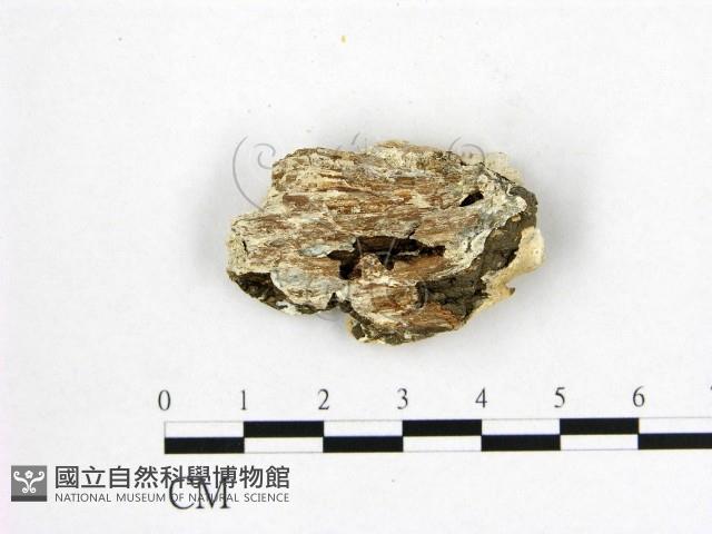 登錄號:F0007013藏品圖，第3張