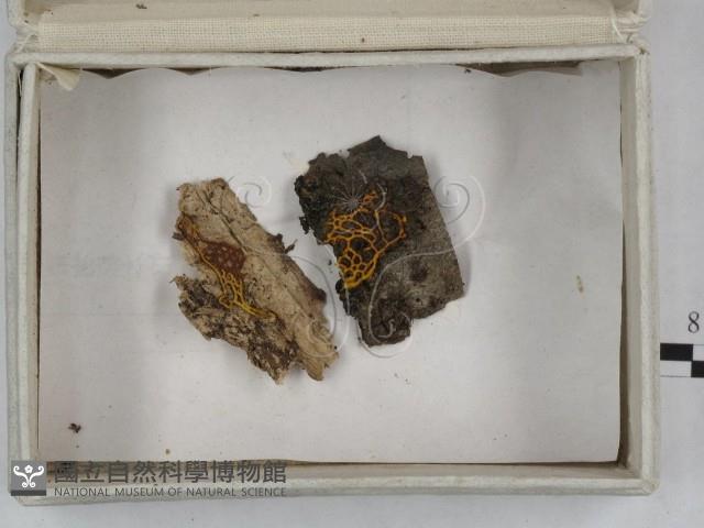 登錄號:F0023253藏品圖，第3張