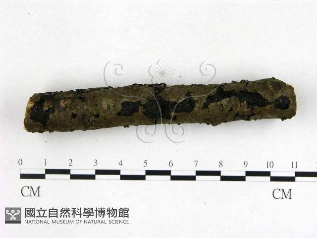 登錄號:F0020853藏品圖，第3張