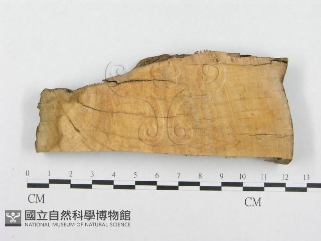 登錄號:F0000953藏品圖，第3張