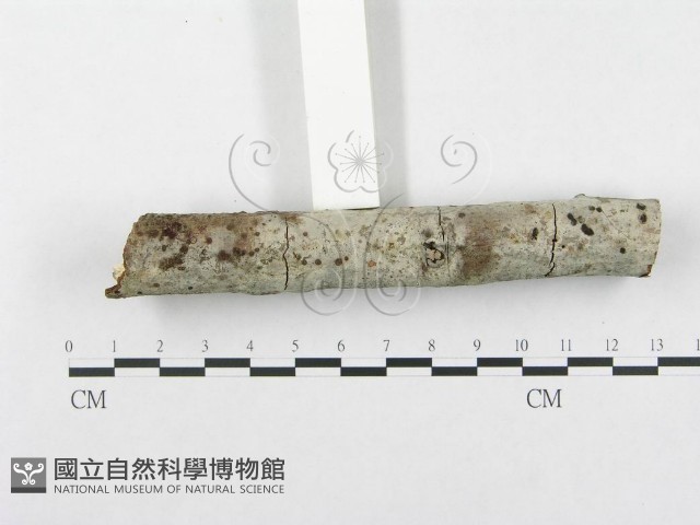 登錄號:F0002953藏品圖，第3張