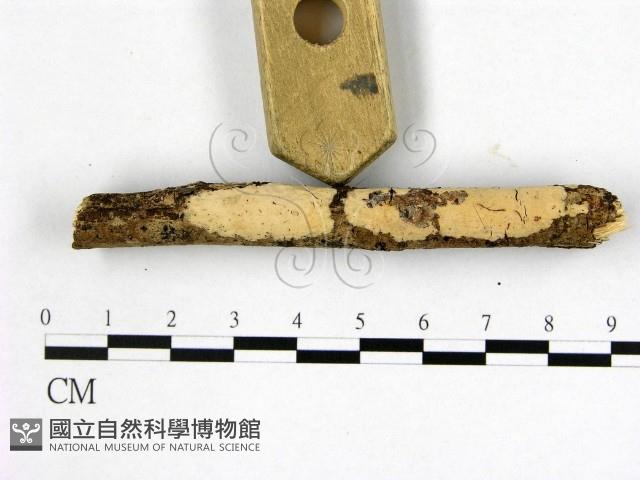 登錄號:F0007653藏品圖，第3張