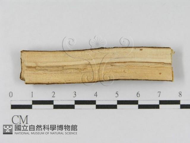 登錄號:F0010453藏品圖，第3張
