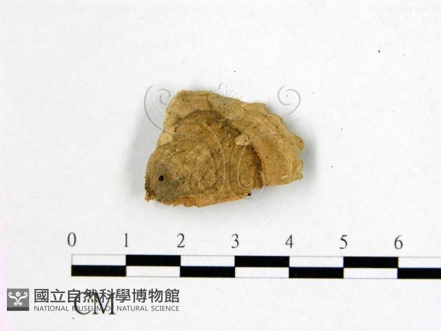 登錄號:F0006753藏品圖，第3張