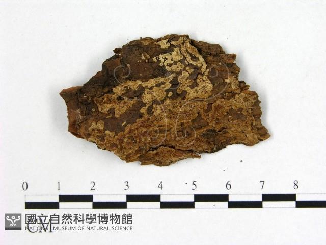 登錄號:F0006553藏品圖，第3張