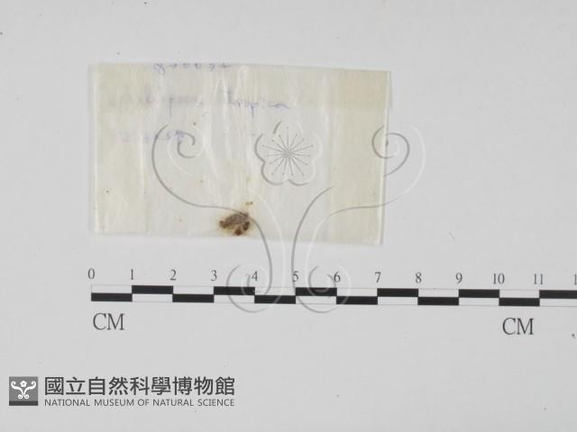 登錄號:F0015553藏品圖，第3張