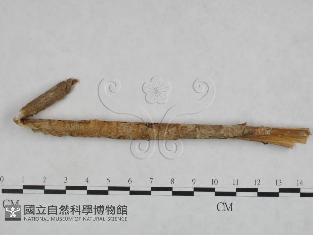 登錄號:F0022153藏品圖，第3張