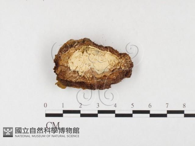 登錄號:F0026053藏品圖，第3張