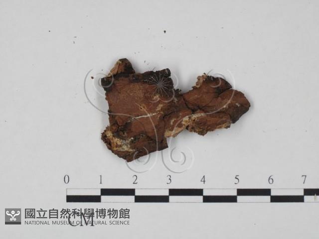 登錄號:F0005053藏品圖，第3張