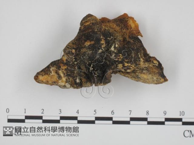 登錄號:F0007353藏品圖，第3張