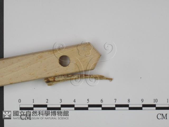 登錄號:F0015353藏品圖，第3張