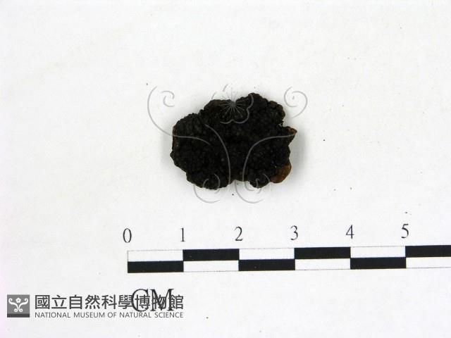 登錄號:F0020243藏品圖，第3張