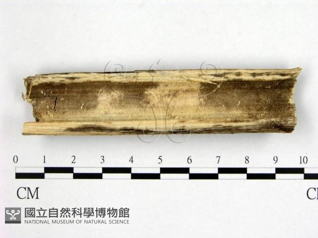 登錄號:F0000243藏品圖，第3張