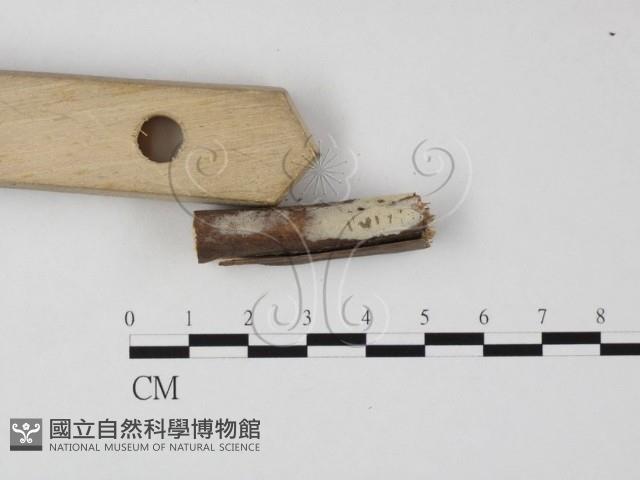 Accession Number:F0022243 Collection Image, Figure 3, Total 4 Figures