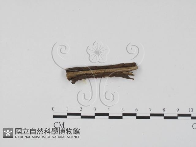登錄號:F0012243藏品圖，第3張