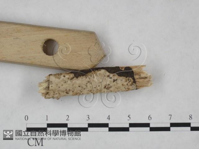 登錄號:F0025243藏品圖，第3張