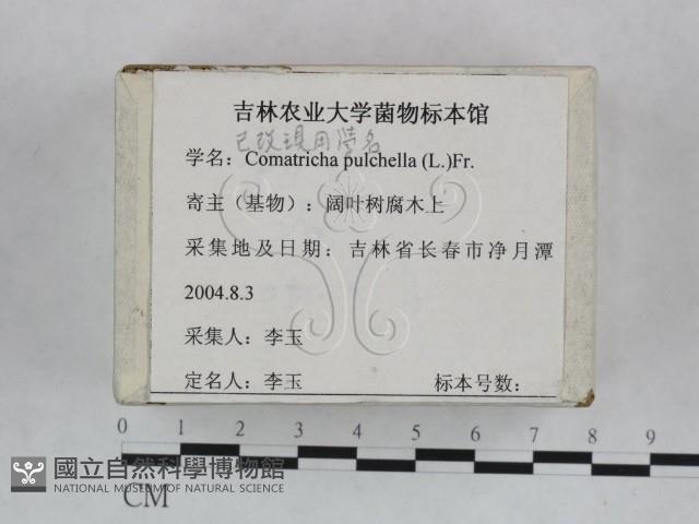 登錄號:F0023243藏品圖，第3張