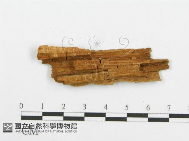 登錄號:F0017843藏品圖，第3張