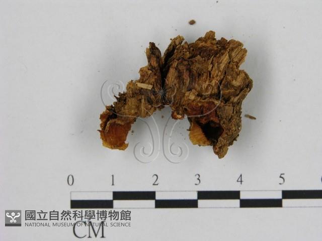 登錄號:F0005843藏品圖，第3張