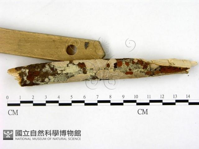 登錄號:F0003843藏品圖，第3張