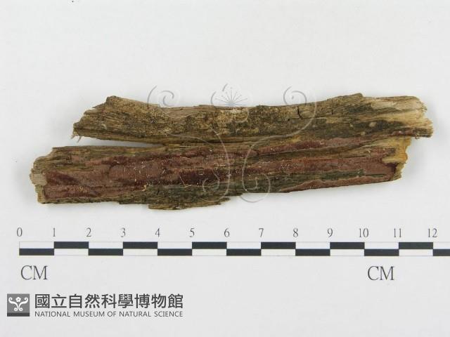 登錄號:F0000943藏品圖，第3張