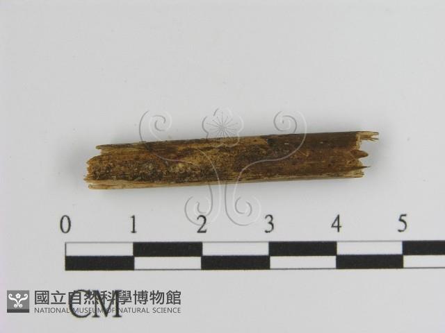 登錄號:F0009943藏品圖，第3張