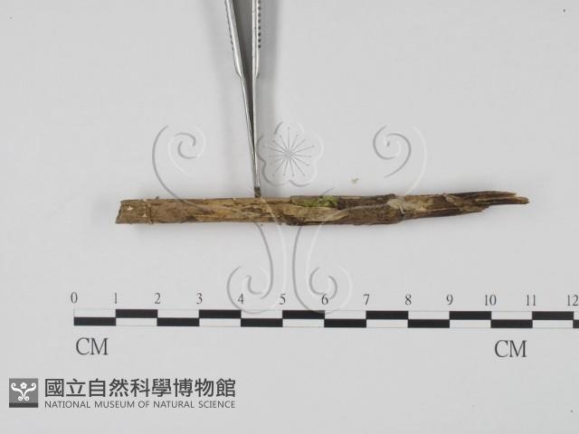 登錄號:F0018643藏品圖，第3張