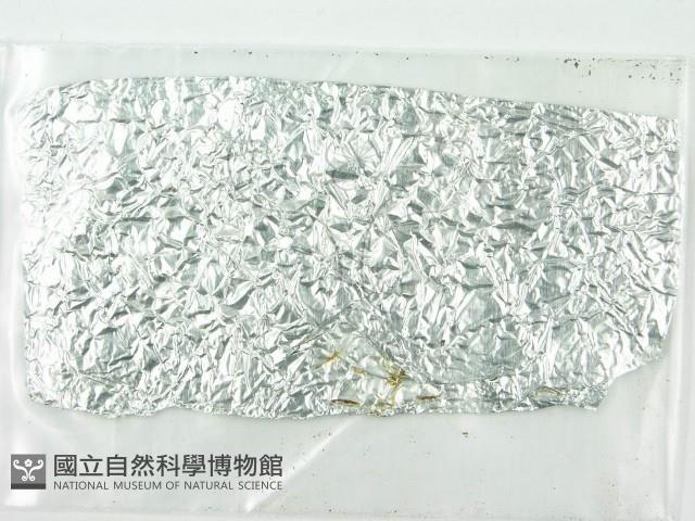 登錄號:F0000643藏品圖，第3張