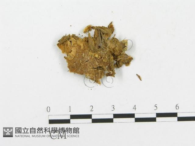 登錄號:F0010643藏品圖，第3張