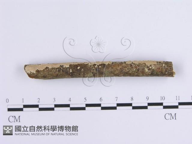 登錄號:F0001643藏品圖，第3張