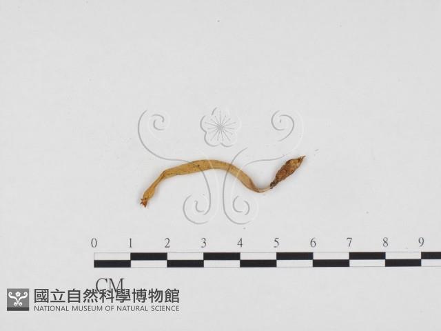 登錄號:F0024443藏品圖，第3張