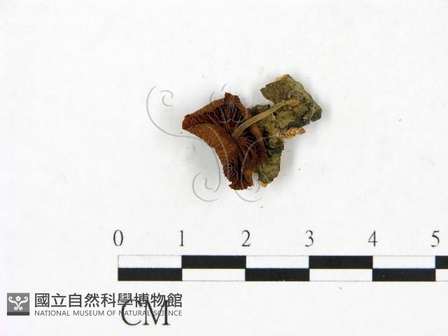 登錄號:F0023443藏品圖，第3張