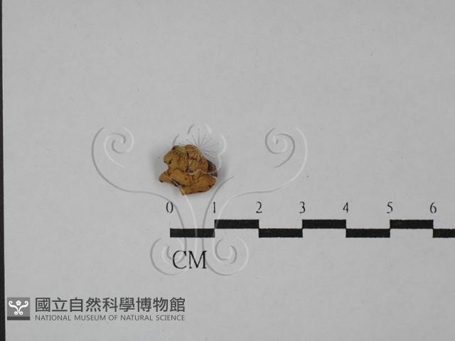 登錄號:F0028743藏品圖，第3張