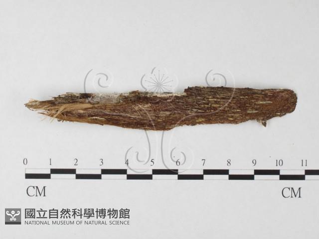 登錄號:F0026743藏品圖，第3張