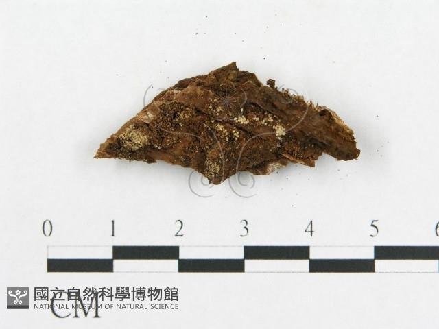 登錄號:F0016743藏品圖，第3張