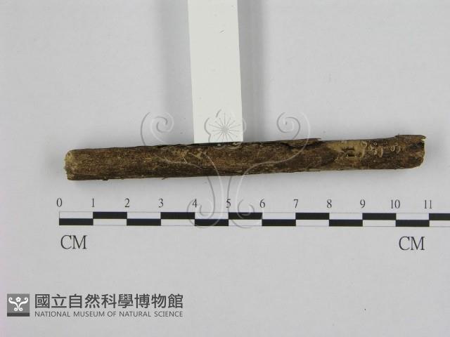 登錄號:F0001743藏品圖，第3張