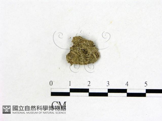 登錄號:F0004543藏品圖，第3張