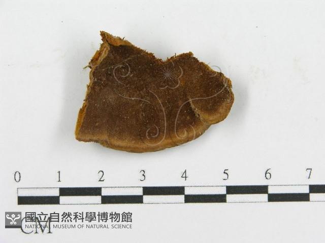 登錄號:F0017543藏品圖，第1張