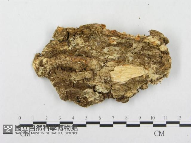 登錄號:F0008143藏品圖，第3張