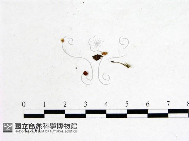 登錄號:F0001143藏品圖，第3張