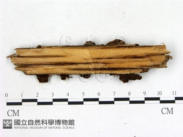 登錄號:F0014143藏品圖，第3張