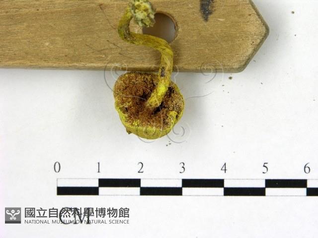 登錄號:F0005143藏品圖，第3張