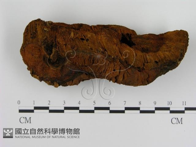 登錄號:F0008043藏品圖，第3張