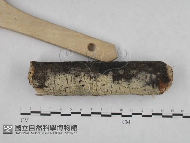 登錄號:F0020043藏品圖，第3張