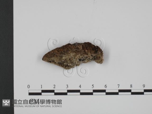 登錄號:F0007343藏品圖，第3張