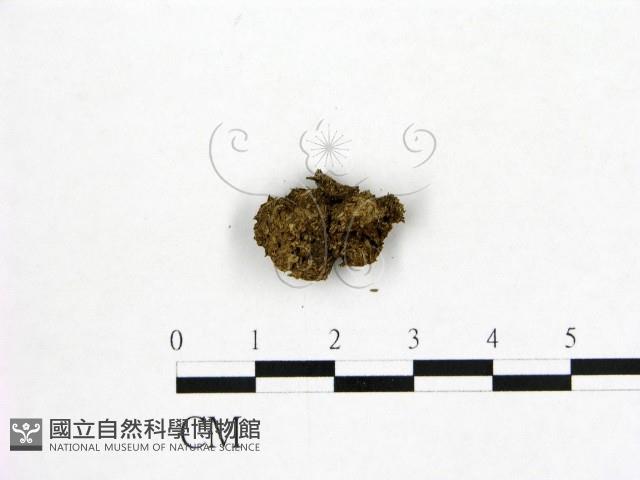 登錄號:F0000233藏品圖，第3張