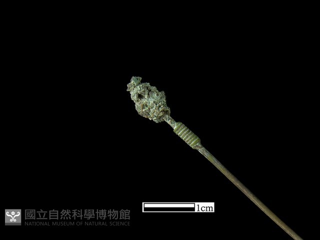 髮簪藏品圖，第3張